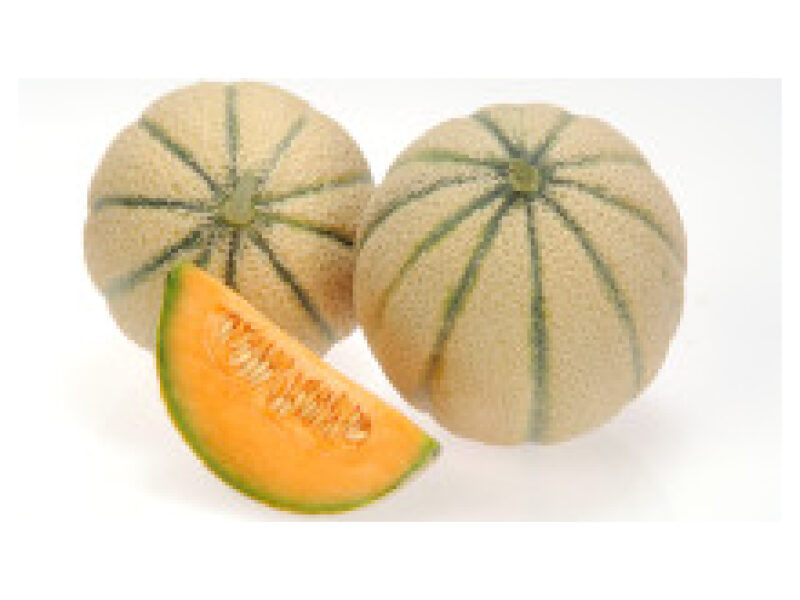 Puhtimata melon ´Bari´ 500 s