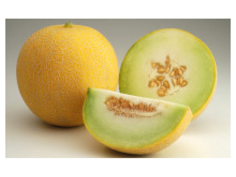 Puhtimata melon ´Aikido´ 500 s