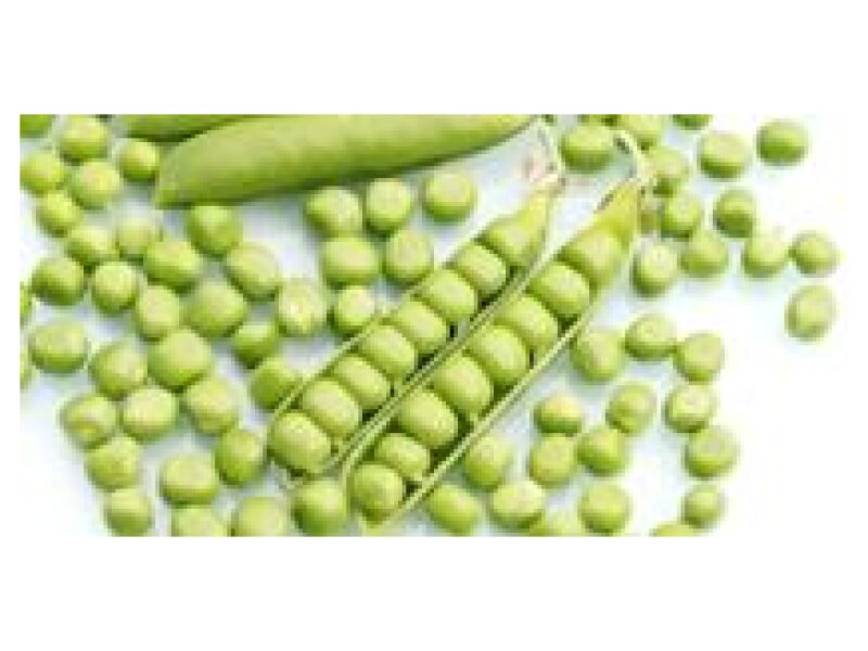 Hernes Maxigolt PUHTIMATA 50 000 s