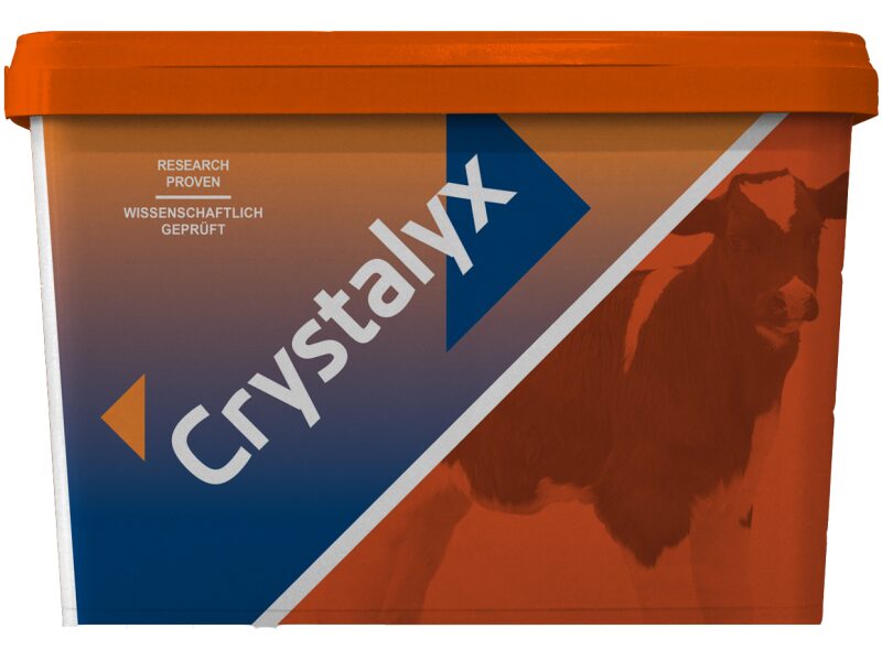 Crystalyx Mentholyx