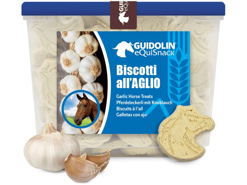 Guidolin küüslaugumaius 700 g