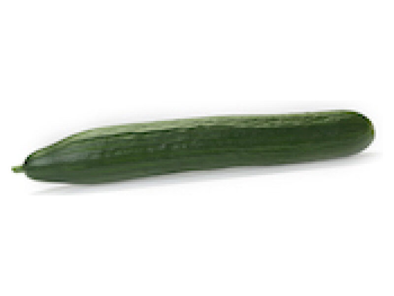 Pikk kurk ´Proloog´