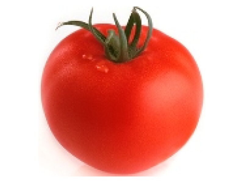 Tomat 'Petula' 100 s
