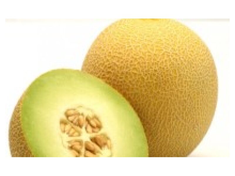Melon 'Jucar' 100 s