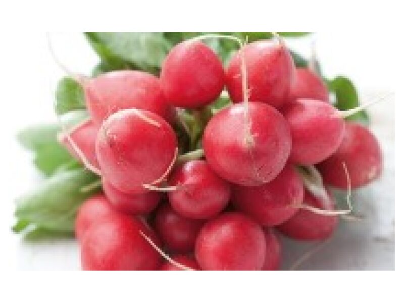 Redis 'Rondeel' 50 g