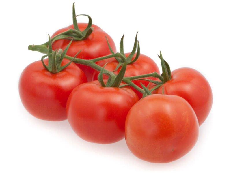Tomat 'Mecano' 100 s