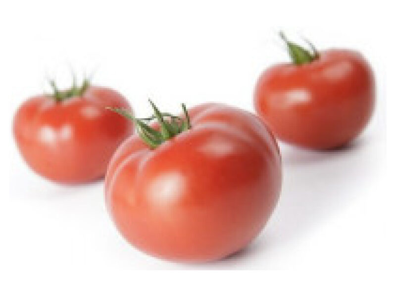 Tomat ´Mahitos´ 100 s