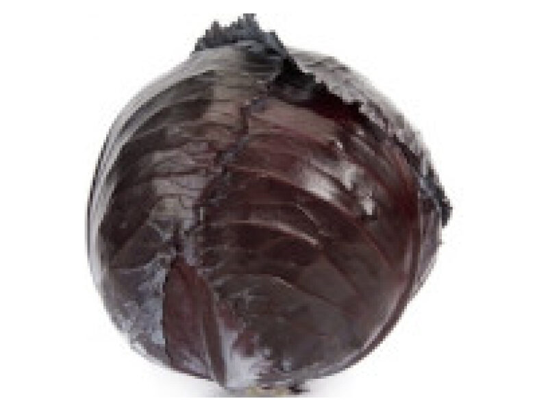 Punane kapsas 'Rexoma' 2500 s