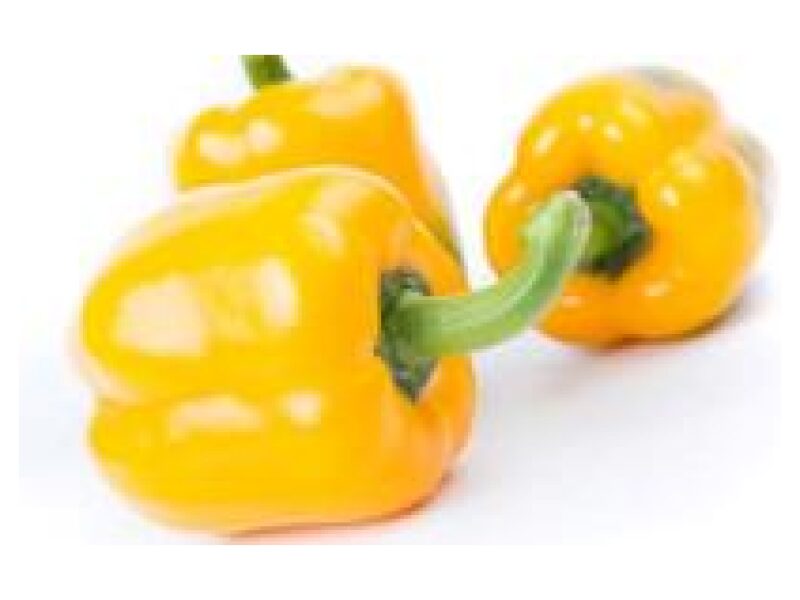 Paprika Ilanga 100 s