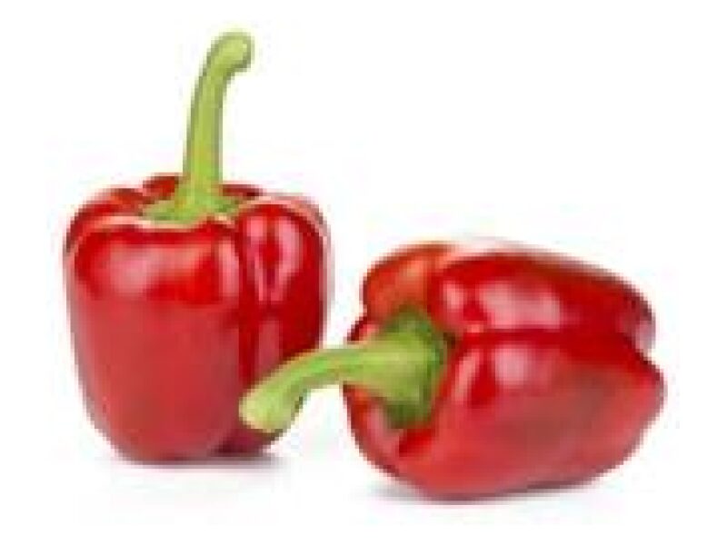 Paprika 'Sondela' 100 s