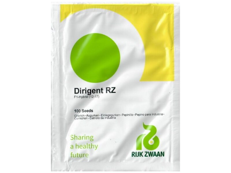 Lühike kurk Dirigent 100 seemet pakend