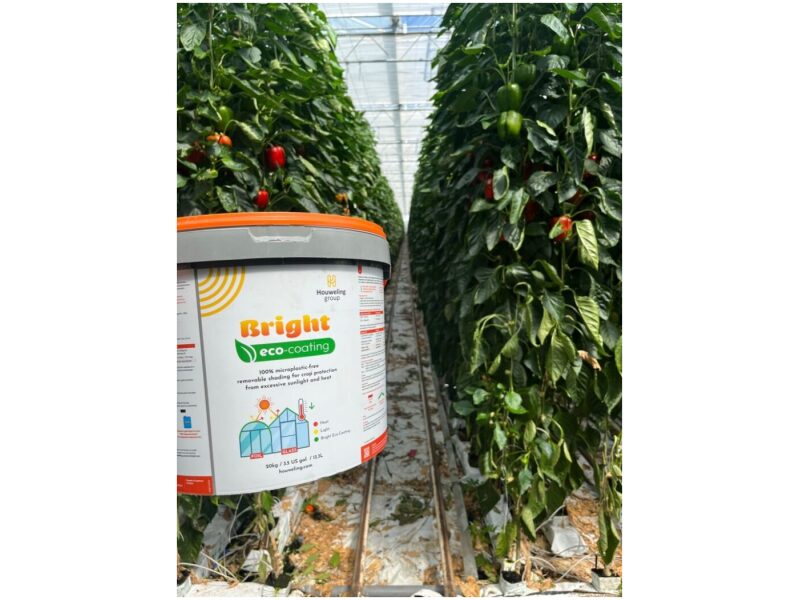 VARJUTUSAINE BRIGHT ECO 2